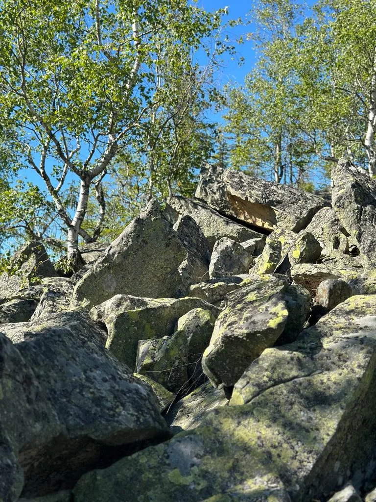 Карпатські краєвиди біля Снідавки, фото 7