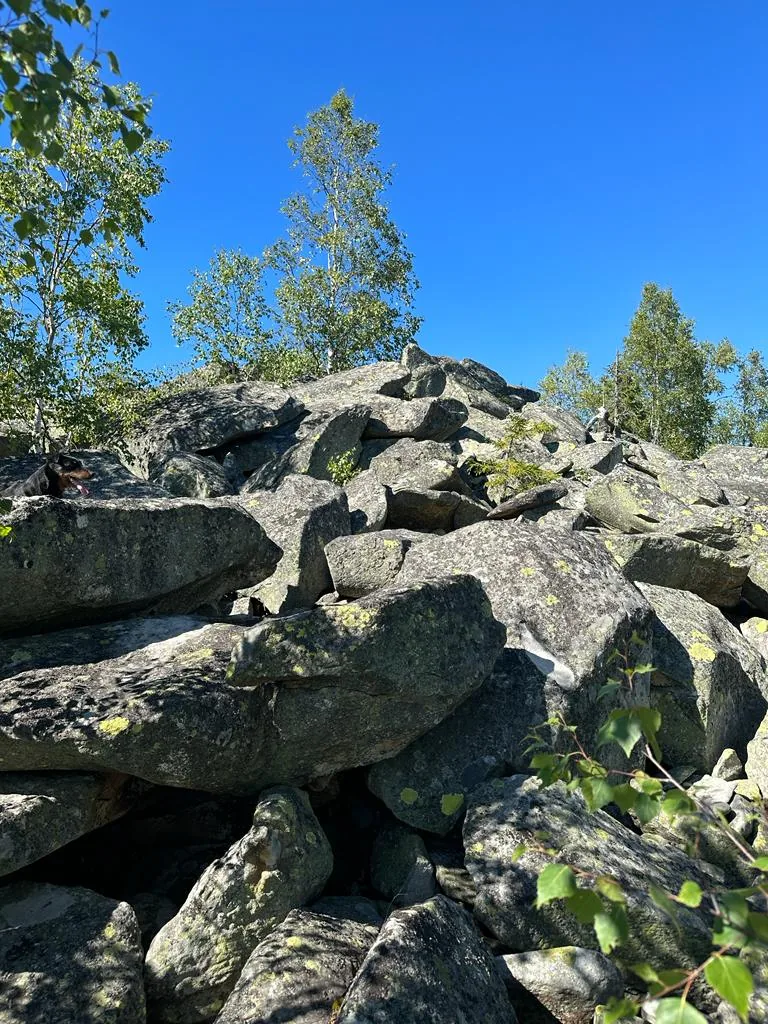 Карпатські краєвиди біля Снідавки, фото 11