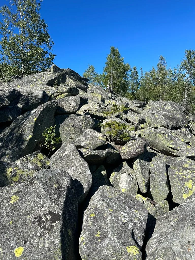Карпатські краєвиди біля Снідавки, фото 12