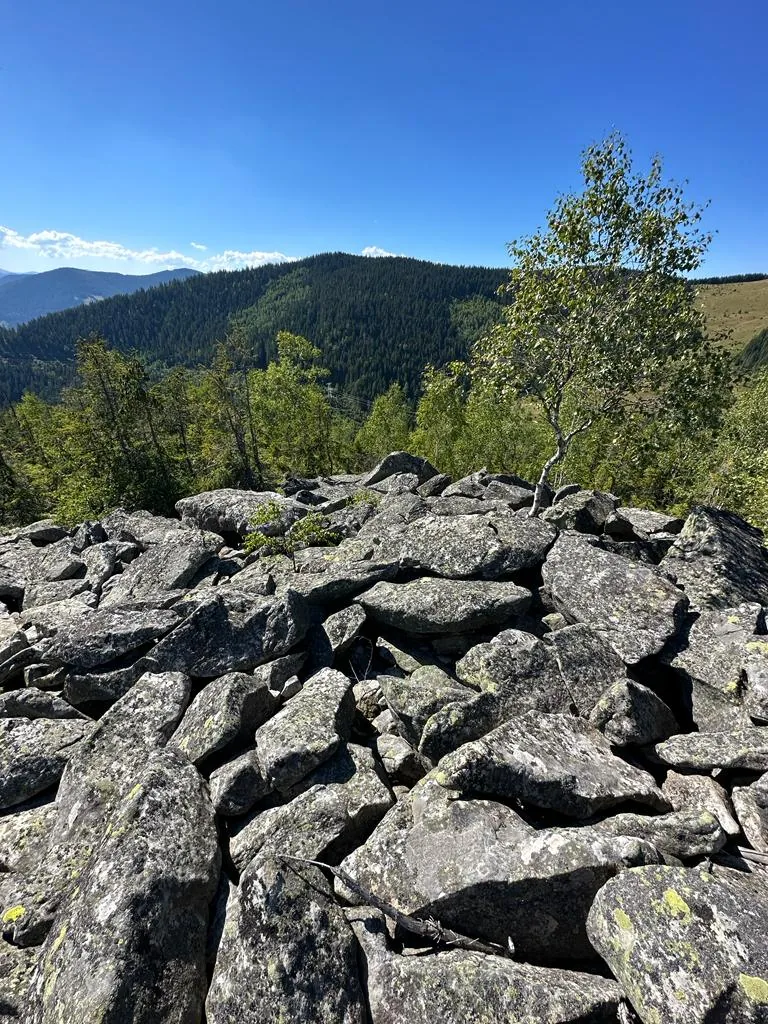 Карпатські краєвиди біля Снідавки, фото 13