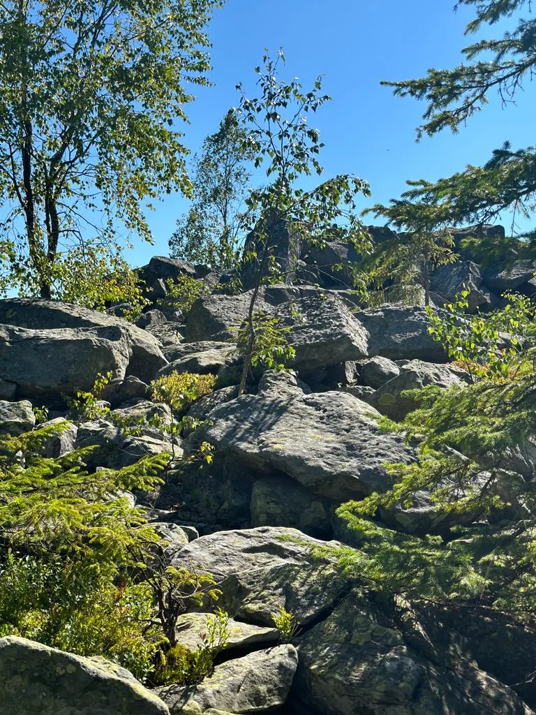 Карпатські краєвиди біля Снідавки, фото 18