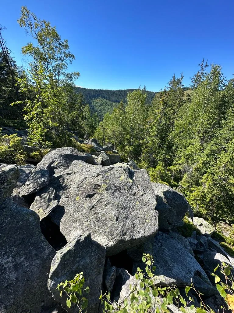 Карпатські краєвиди біля Снідавки, фото 20
