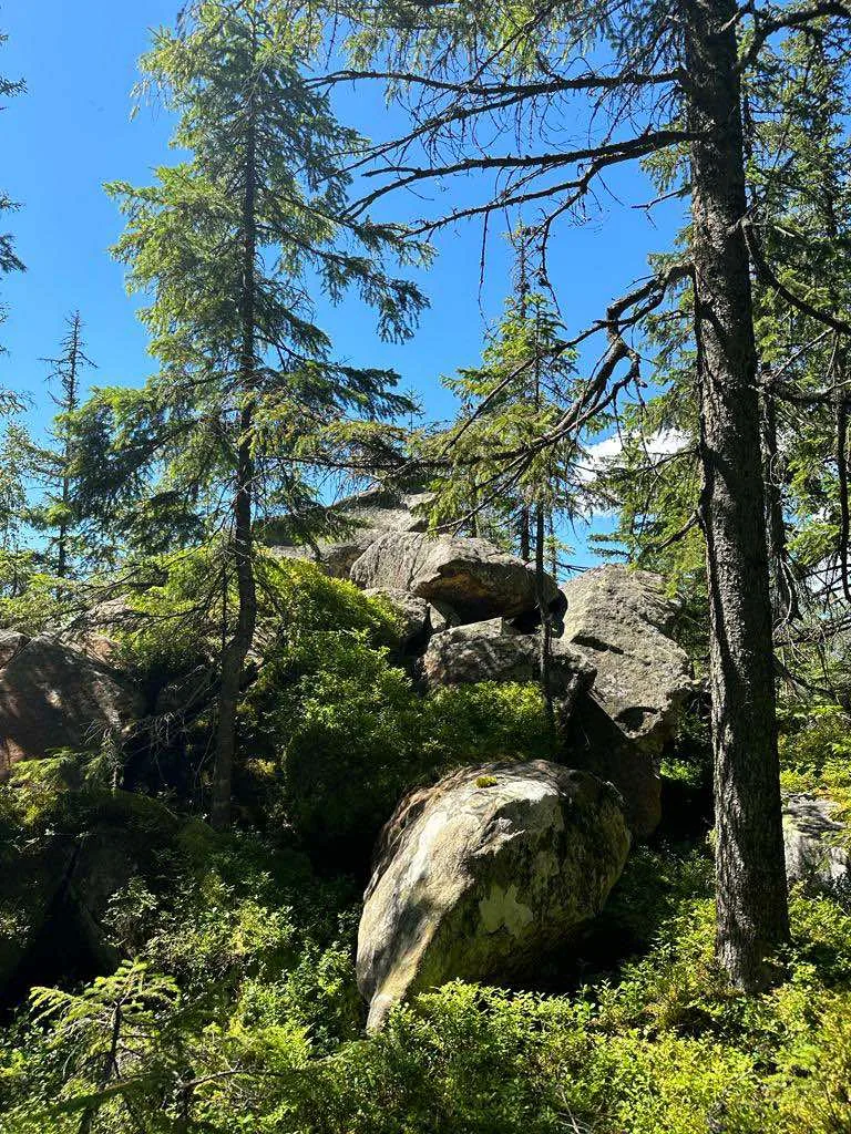 Карпатські краєвиди біля Снідавки, фото 22