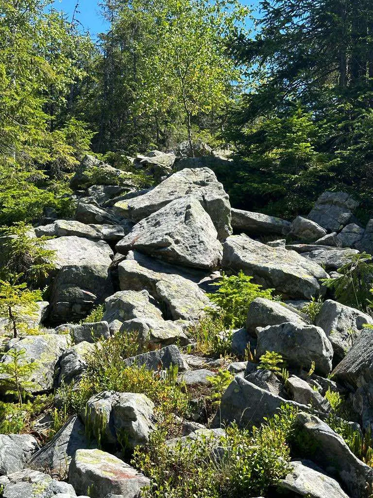 Карпатські краєвиди біля Снідавки, фото 23